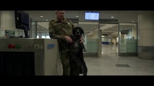 Секреты Домодедовской таможни