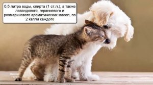 Как избавиться от неприятного запаха от кошек и собак