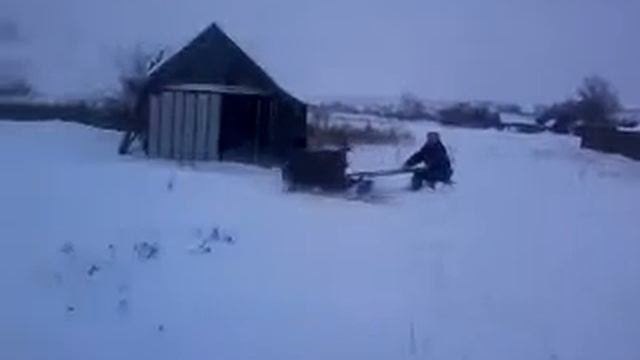 Моя мотособака смотреть онлайн