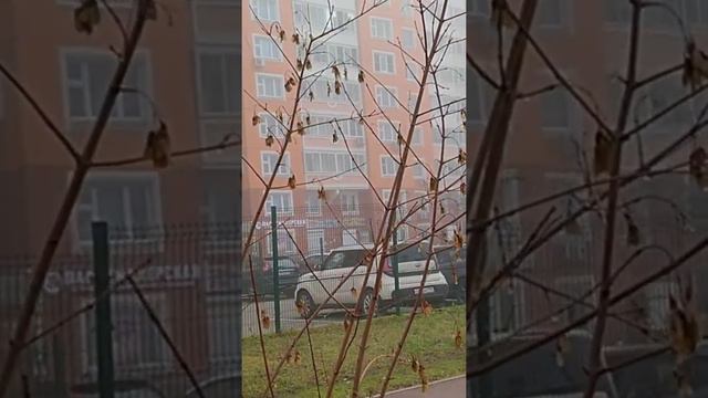 Московская Осень. смотреть онлайн