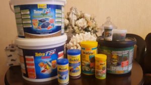 Чем кормить цихлид еллоу и демасони. Какой сухой корм выбрать? Tetra, JBL или Sera.