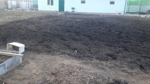 ???КУЧЕРЯВАЯ КАПУСТА НА 13 МАРТА ???