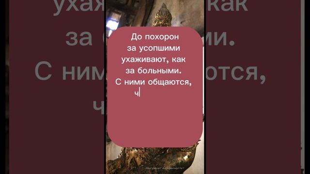 КАТАЮТ ТРУПЫ В КРЕСЛАХ-КАТАЛКАХ / отношение к смерти в Индонезии