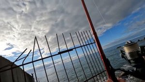 ?ОТ ЭТОЙ РЫБЫ ДРОЖАТ РУКИ. Морская Рыбалка в Черном Море. Крым. Ялта. Форель