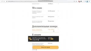 Тариф "Семья" от Билайн со СКИДКОЙ в 20% на весь год