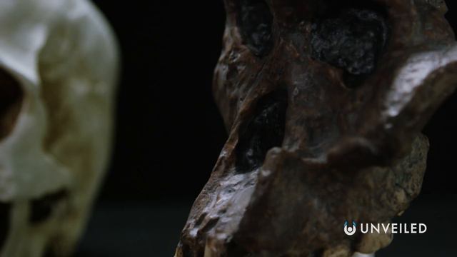 7 Reasons We Probably Live in a Simulation | Unveiled
