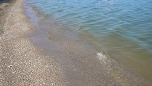 от ЕЙСКА до пос. МОРСКОЙ по берегу моря