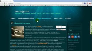 Бесплатное продвижение сайта: как получить бесплатный трафик?