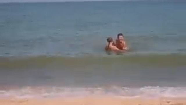 дикая орхидея)))) смотреть онлайн