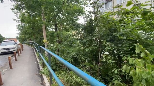 Много встреч с добротой не бывает! Красота и общение. Бабушкина прогулка. 30 июня 2023 г. смотреть онлайн