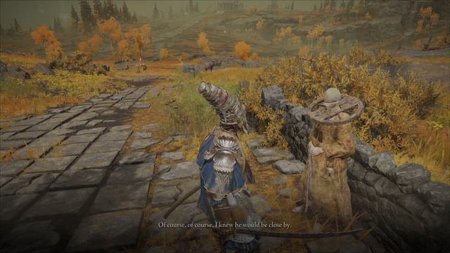 Elden Ring - Telling Brother Corhyn about the location of Goldmask in Altus Plateau (Dialogue) смотреть онлайн