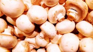 ИНТЕРЕСНЫЕ ФАКТЫ О ГРИБЕ ШАМПИНЬОНЕ.