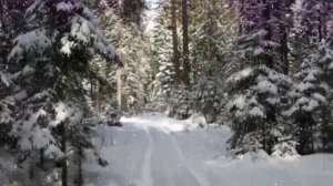 А СНЕГ ИДЁТ