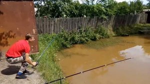 Рыбалка на убийцу карася. Огромный линь, карп и много карасей