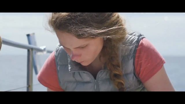 Экспедиция на КАМЧАТКУ / Увидеть КИТА в природе / КОСАТКИ смотреть онлайн