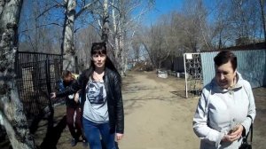 ??Казахстан.Караганда.Зоопарк 2019 #казахстан #караганда #зоопарк