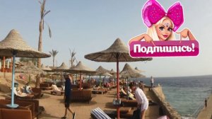 ВСЯ ПРАВДА О ПЛЯЖЕ ОТЕЛЯ IL MERCATO 5* в ШАРМЕ.