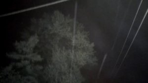 Зимний вечер в Рождество