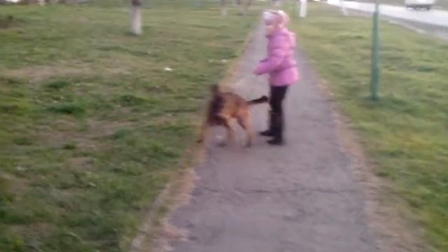 кто - кого? :) смотреть онлайн