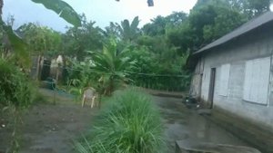 Gentle Rain Walk with Umbrella in Village