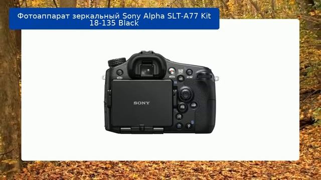 Фотоаппарат зеркальный Sony Alpha SLT-A77 Kit 18-135 Black обзор и отзыв смотреть онлайн