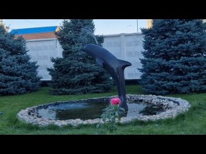 Соль-Илецк. 30.07.2023. Черный дельфин.