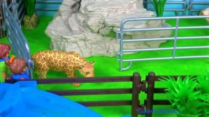 Happy Cute Zoo Animals - Toys for Kids - Jaguar Rhinoceros Turtle Octopus Quagga