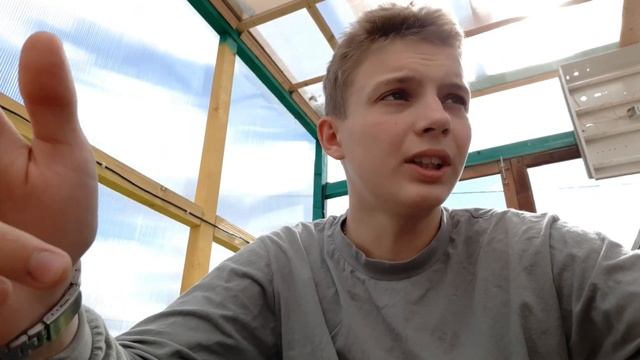 ПЕРВЫЕ СТАДИИ СОДЕРЖАНИЯ ГУСЕЙ, УТОК, ЦЫПЛЯТ. ЧЕМ КОРМИТЬ, ГДЕ ЖИТЬ В ПЕРВЫЕ ДНИ. смотреть онлайн