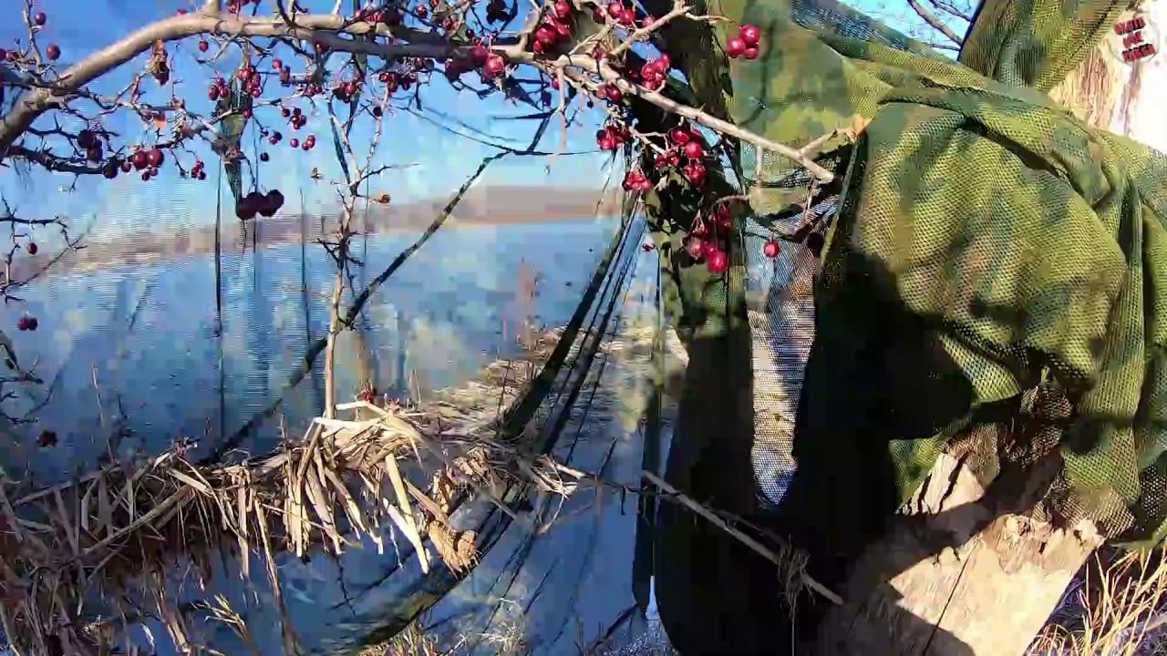 ОХОТА НА УТОК! Не пробил. смотреть онлайн