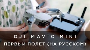 DJI Mavic Mini - Первый полёт (на русском).mp4