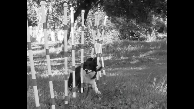 Дана треня смотреть онлайн