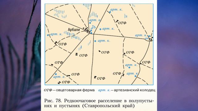 §48 "Южные безлесные зоны", География 8 класс, Полярная звезда