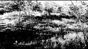 Forbidden Siren "Разбор сюжета" (часть 3-я)