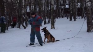 МАЛИНУА (Мехелар) Деймос.  Управление после атаки, элемент КНПВ