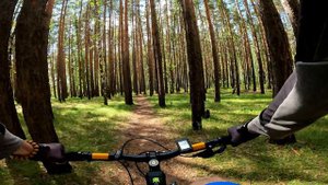 По лесу под легкую музыку