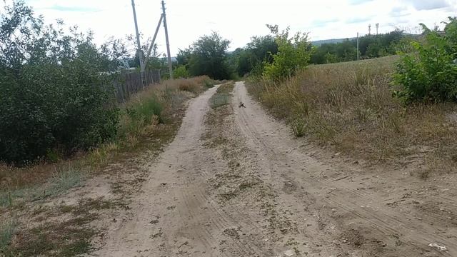 Переезд в Россию.