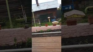 Сушилка для белья "Вертушка"
