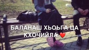 Дала декъал войл ХЬО