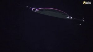 Anglers zoom/ Алексей Вьюнов о колеблящихся блеснах "Williams"