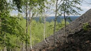 Интересные места. Город-призрак Верхняя (или Старая) Губаха