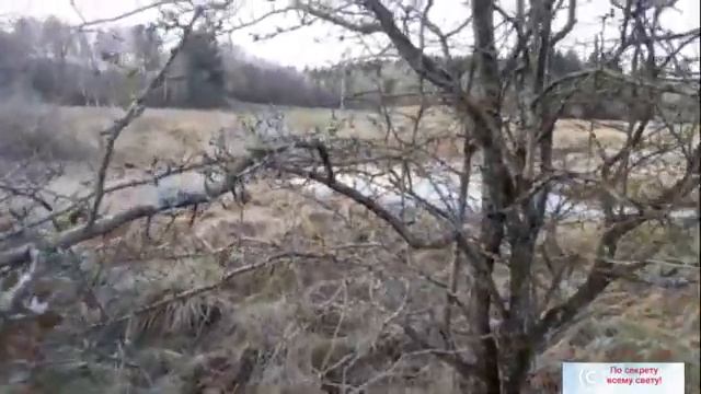 Погода и климат в Дании☂️❄☀️ смотреть онлайн