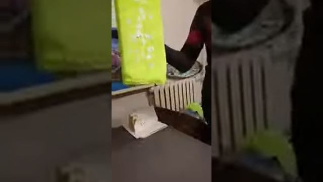 Гринвей отзывы Швабра универсальная с двумя насадками смотреть онлайн