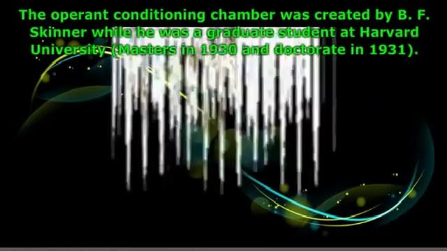 What is the Skinner Box? смотреть онлайн