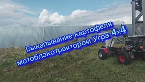Выкапывание картофеля мотоблокотрактором Угра 4х4