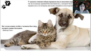 Вера+Войнова+Ритуалы+и+практики+для+дома,+квартиры+и+дачи2023 01 22