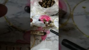 ЭКСПЕРИМЕНТ 32 КАЛИБРА. ЗАРЯЖАЮ ПАТРОНЫ ПО НОВЫМ НАВЕСКАМ ПОРОХА СОКОЛ.