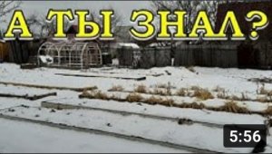 Чем грозит БЕССНЕЖНАЯ ЗИМА для дачников? ❄❄❄Что нужно сделать и что делать нельзя