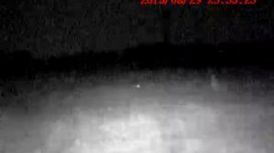 ОХОТА  НА  ЗАЙЦА  С  САМОДЕЛЬНЫМ  НОЧНИКОМ,  ЗАЕЦ  В  НОЧИ