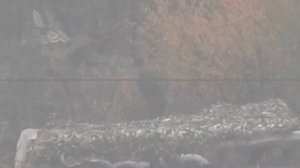 ВСУшники, неприличные жесты на войне лучше не показывать!