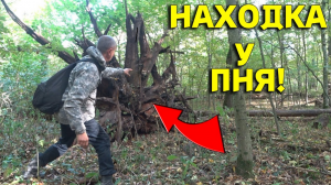 Эта НАХОДКА у Старого Пня ПОРАДОВАЛА не по Детски! Супер КОП в ЛЕСУ! В Поисках Клада от Влада!